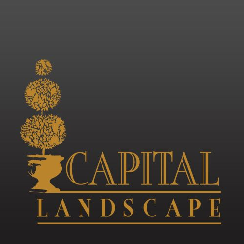 Company Logo For Capital Landscape'