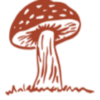 Organic Shroom Canada Logo