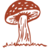 Company Logo For Organic Shroom Canada'