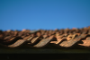 Insurance Companies May Be Cracking Down on Old Roofs'