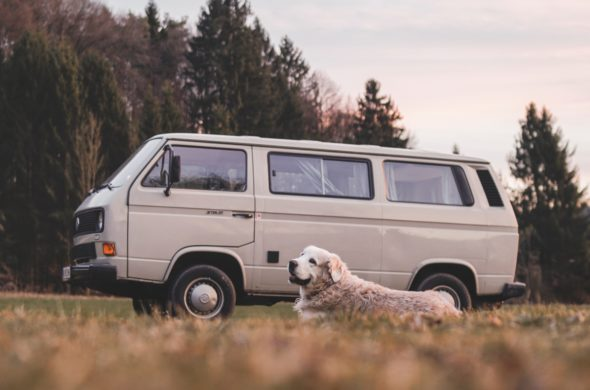 Pet Transport Service Hanoverton, OH'