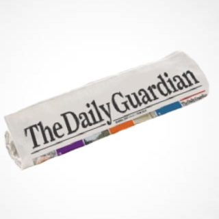 Company Logo For The Daily Guardian'