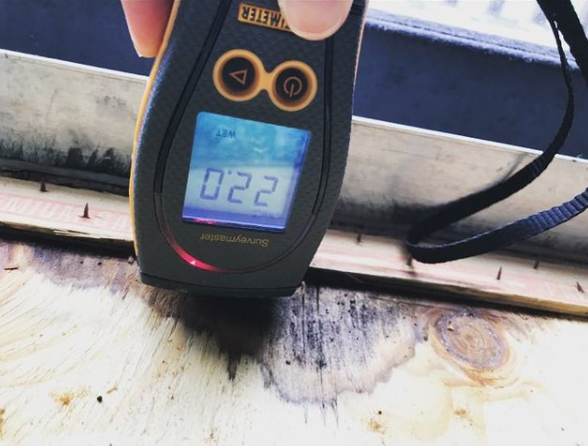 Home Mold Inspection