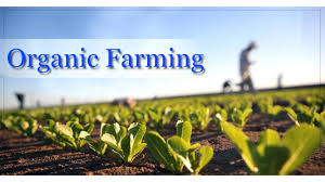 Organic Farming Market to Witness Huge Growth by 2026 : KiuS