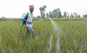 Living Insecticides