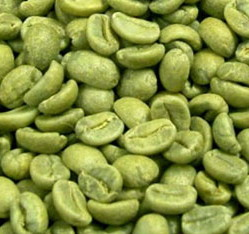 Green Coffee Bean Extract Safety'