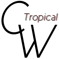 Casual Tropical Wear Logo