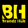 Company Logo For BrandzHub'