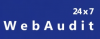Company Logo For WebAudit24x7'
