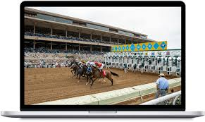 Horse Racing Software