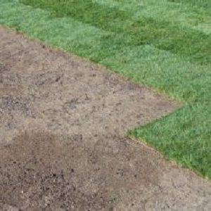 Sunny Slope Sod Farm, LLC Logo