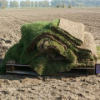 Sod Laying Services'