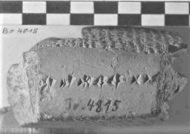 Dr. Joel Klenck: KUB 8.61, Lateral.