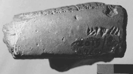 Dr. Joel Klenck, KBo 8.144, Lateral.