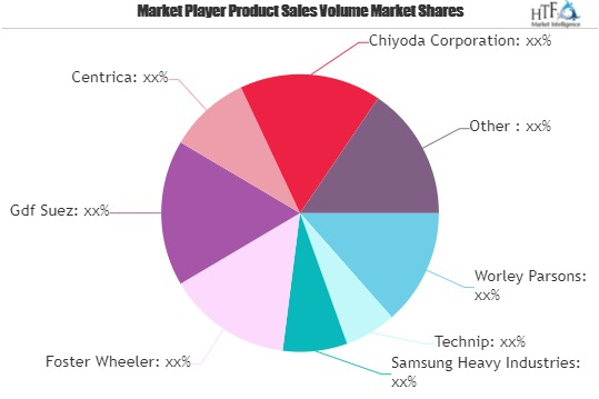 Natural Gas Storage Market'