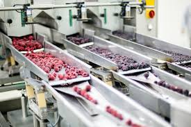 Processed Frozen Food Market to Witness Huge Growth by 2026