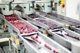 Processed Frozen Food Market to Witness Huge Growth by 2026'