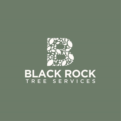 Company Logo For Black Rock Tree Services'