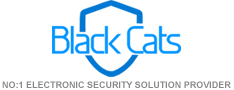 Black Cats Groups Logo
