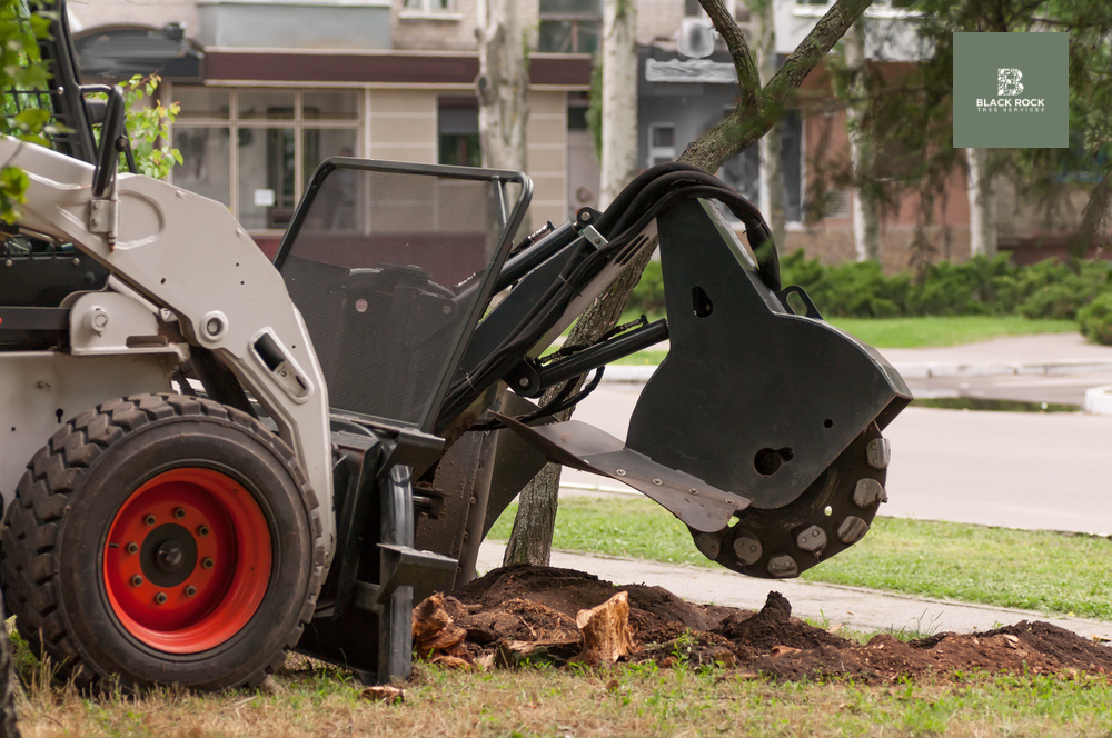 Company Logo For Black Rock Tree Services'