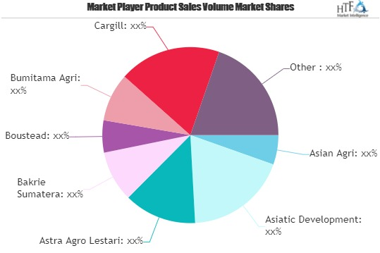 Palm Oil Market'