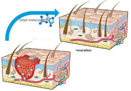 Company Logo For Scarinex'