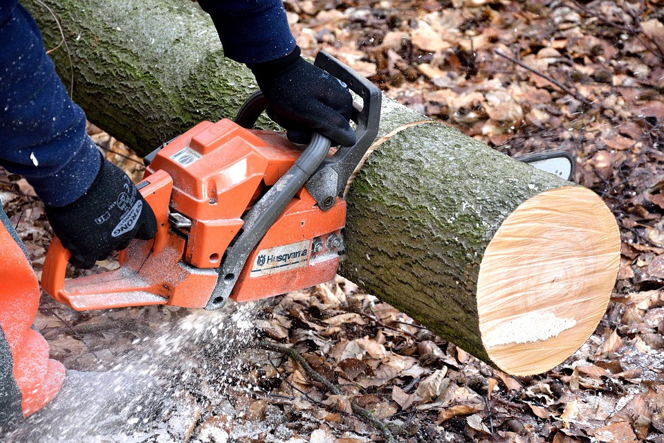 Tree Service'