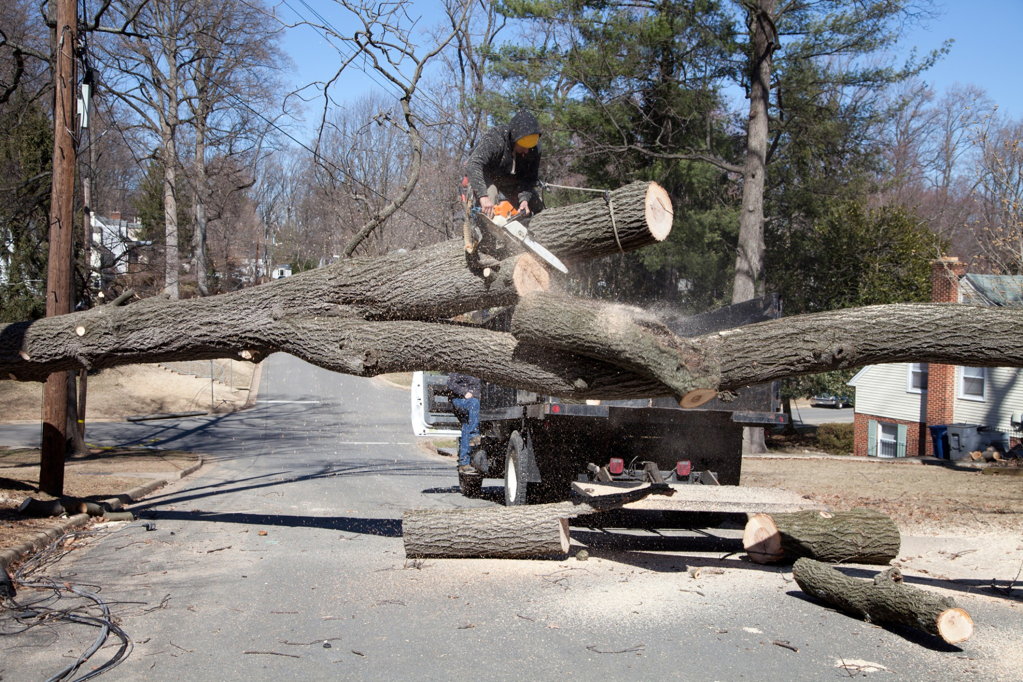 Tree Trimming'