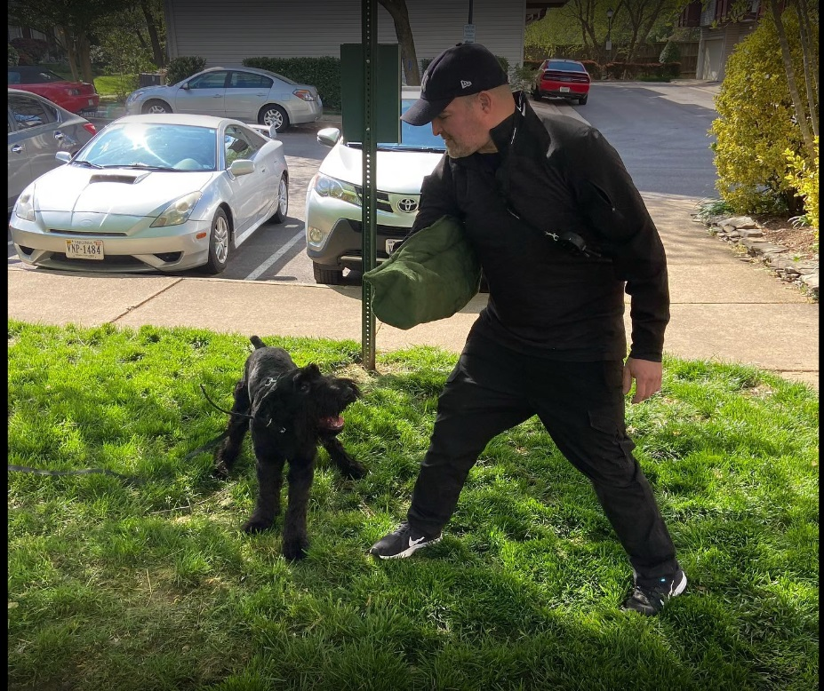 Dog Trainer Baltimore'