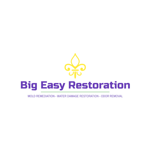 Company Logo For Big Easy Restoration Tampa'