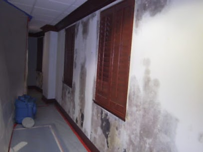 Water Damage Restoration Tampa FL'