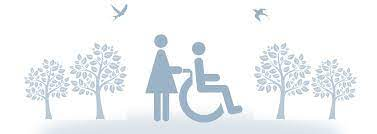 Palliative Care Market