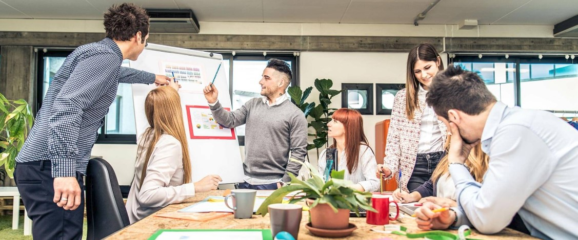 Business Immigration Lawyer'