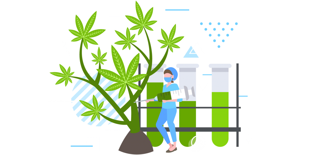 Cannabis Industries Software'
