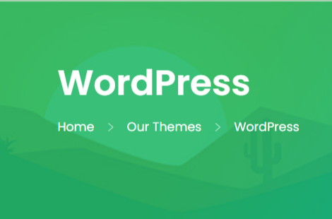 WordPress Themes'