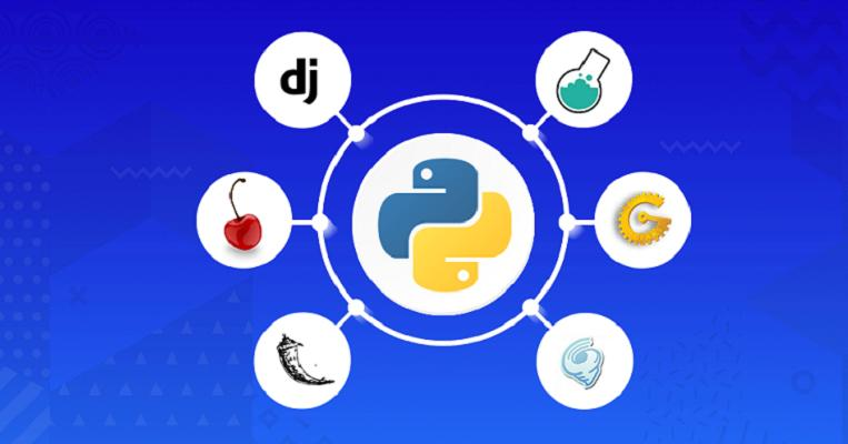 Python Package Software'