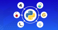 Python Package Software