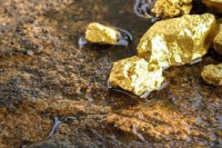 Gold Mining Market to Witness Huge Growth by 2026 : Goldcorp