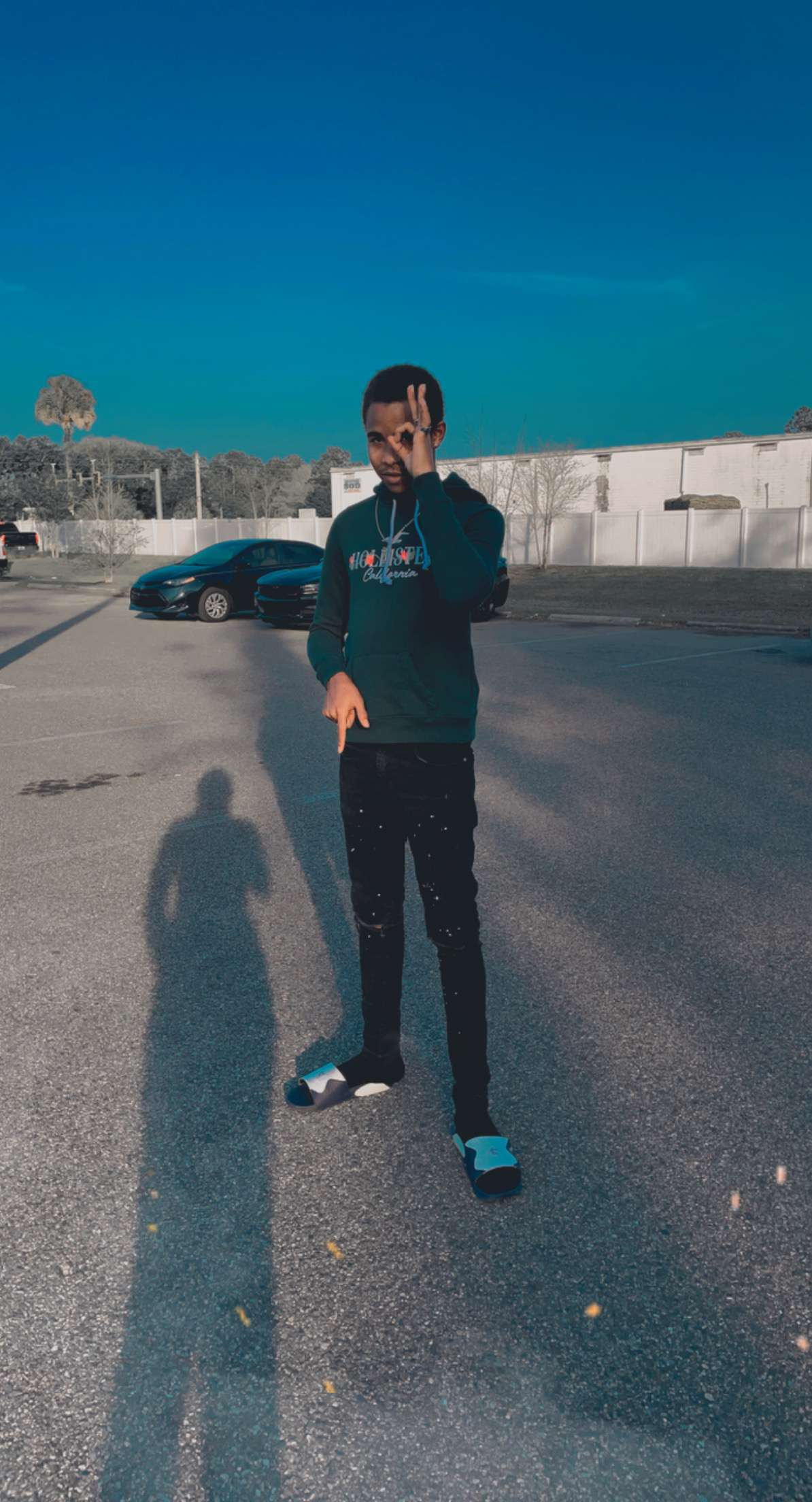 CryptoDan Collection