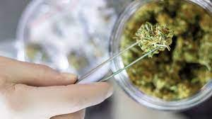 Cannabis Testing Market to Witness Massive Growth by 2026 |'