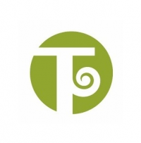 NZ International Tax & Property Advisors Logo