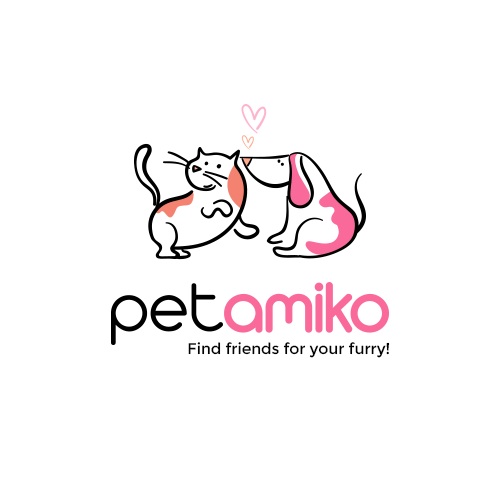 Petamiko Services Pvt Ltd