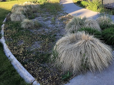 Company Logo For Bruno's Landscaping Service'