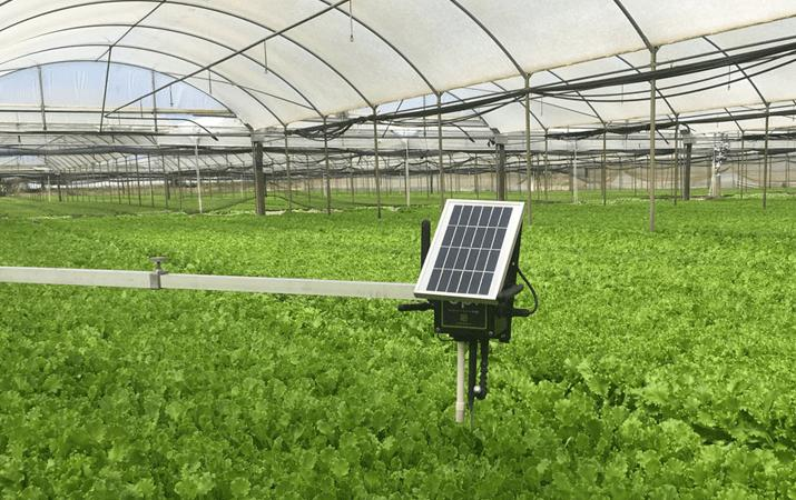 Intelligent Greenhouse Market'
