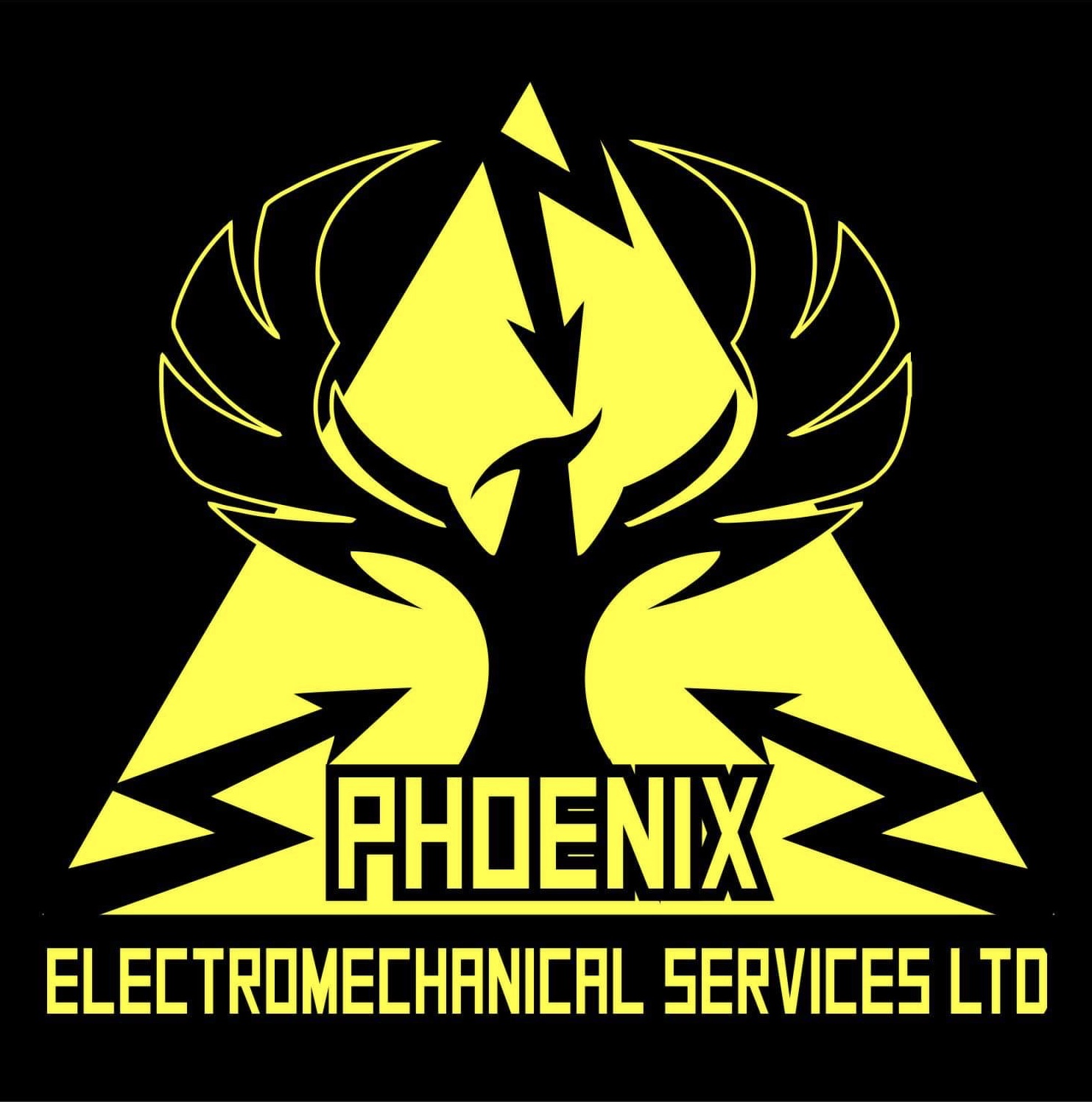 Company Logo For Phoenix Electromechanical Services Ltd'