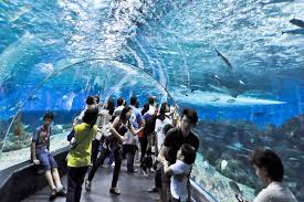 Marine Park or Ocean Park Market: Comprehensive study explor