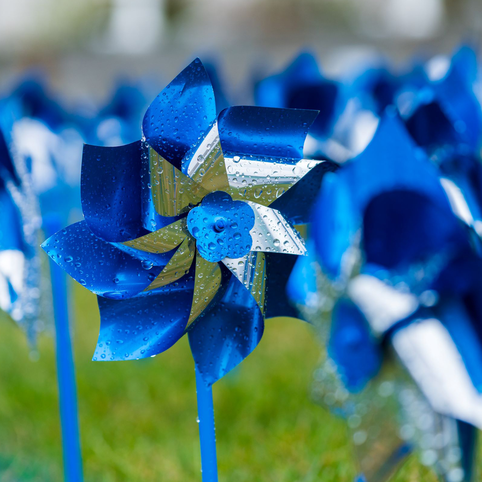 Pinwheels at Intermountain Primary Children's Hospital