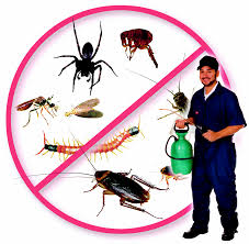 Company Logo For EZ Bed Bug Exterminator Las Vegas'