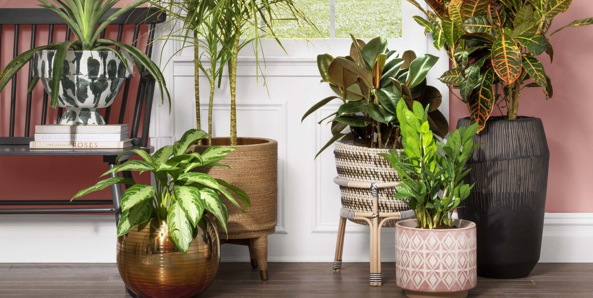 Flower and Plant Pots Market