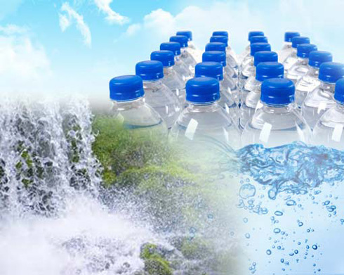 Packaged Natural Mineral Water Market'